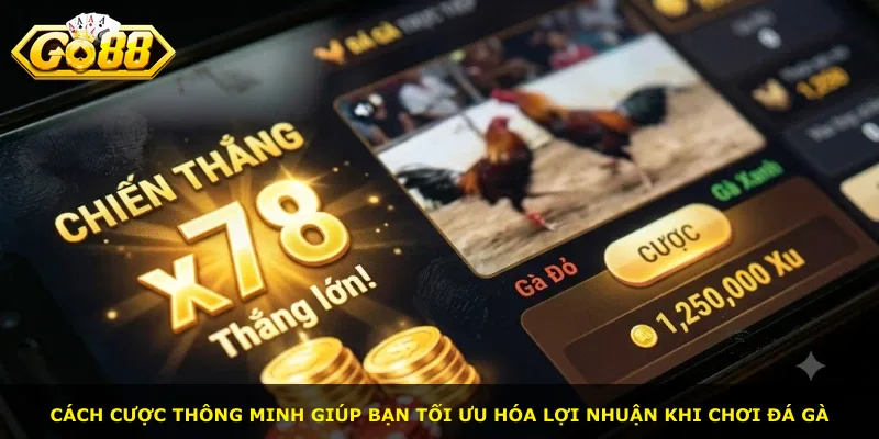 Cách cược thông minh giúp bạn tối ưu hóa lợi nhuận khi chơi đá gà
