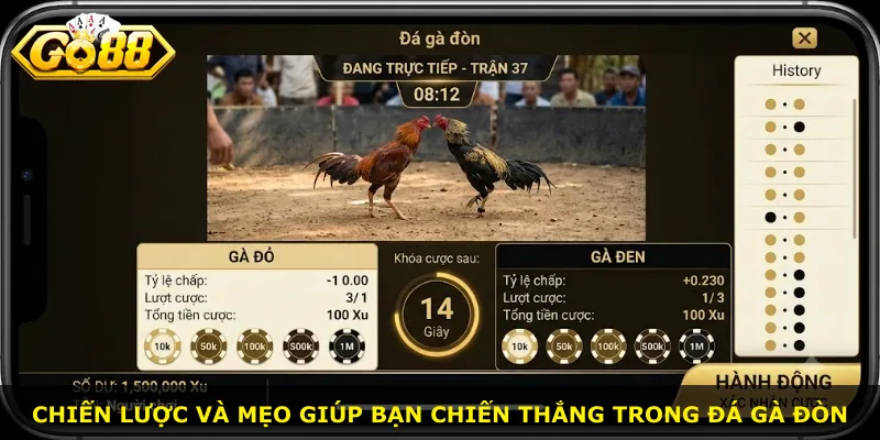 Chiến lược và mẹo giúp bạn chiến thắng trong đá gà đòn