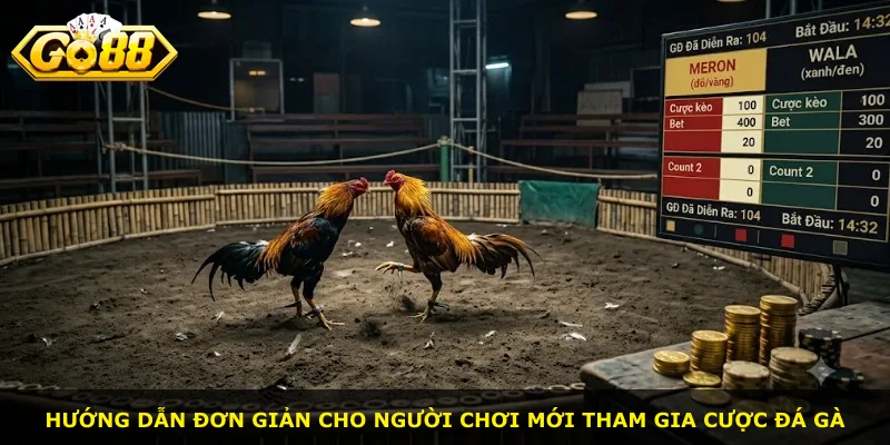 Hướng dẫn đơn giản cho người chơi mới tham gia cược đá gà