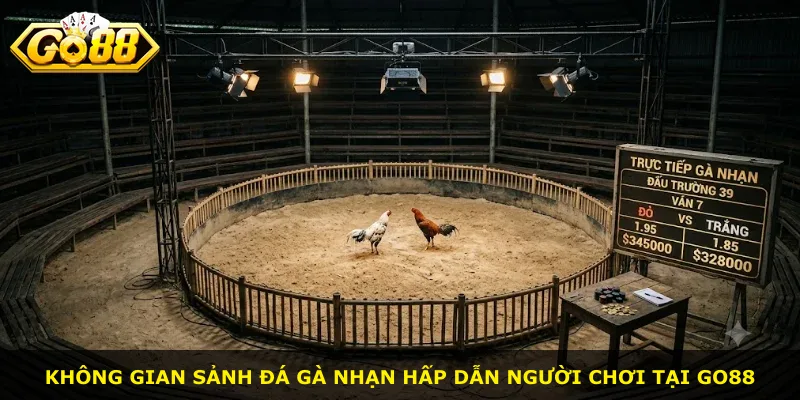 Không gian sảnh đá gà nhạn hấp dẫn người chơi tại Go88