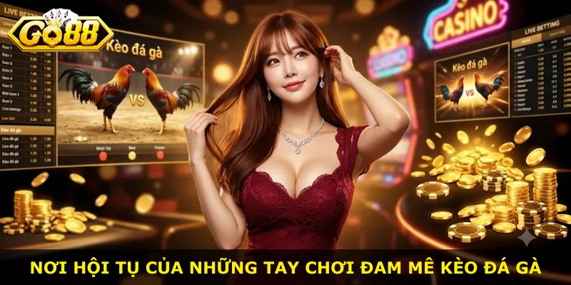 Nơi hội tụ của những tay chơi đam mê kèo đá gà