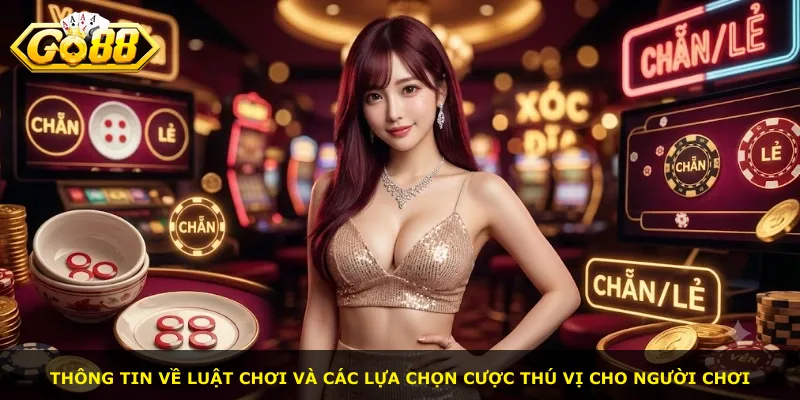 Thông tin về luật chơi và các lựa chọn cược thú vị cho người chơi