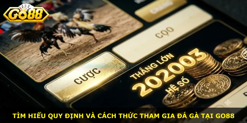 Tìm hiểu quy định và cách thức tham gia đá gà tại Go88