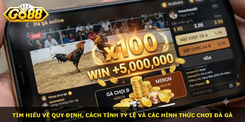 Tìm hiểu về quy định, cách tính tỷ lệ và các hình thức chơi đá gà