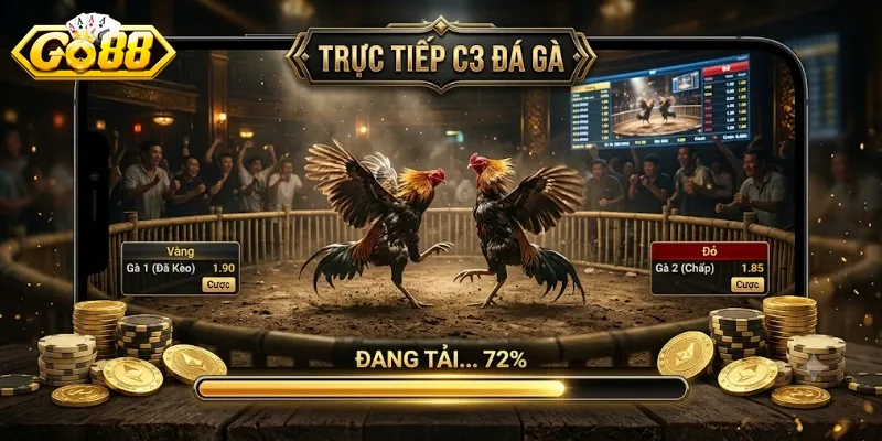 Trực Tiếp C3 Đá Gà Go88 Trải Nghiệm Kịch Tính Cùng Trận Đấu Hấp Dẫn Mỗi Ngày